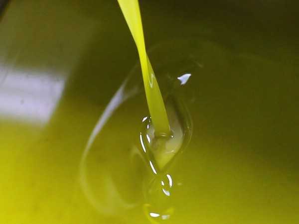 Extra virgin olive oil and wine | Agriturismo Maso Bergot | Your Farm Holiday on Lake Garda, in Arco, in Trentino.