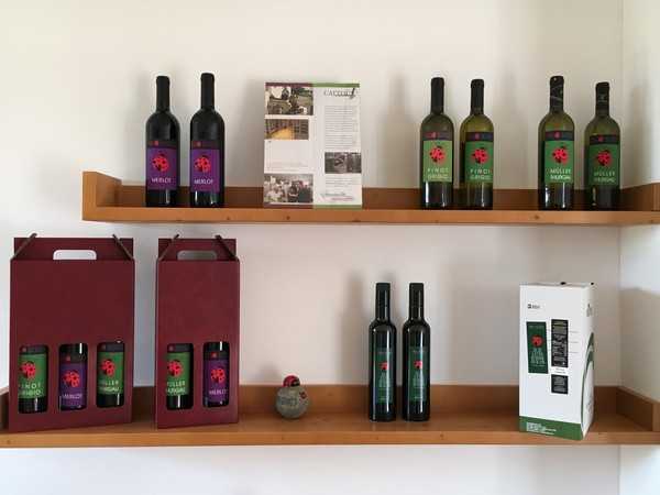 Extra virgin olive oil and wine | Agriturismo Maso Bergot | Your Farm Holiday on Lake Garda, in Arco, in Trentino.